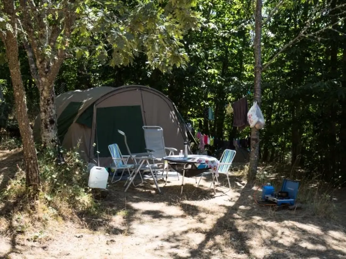 Cepo Verde 4 Stars★★★★