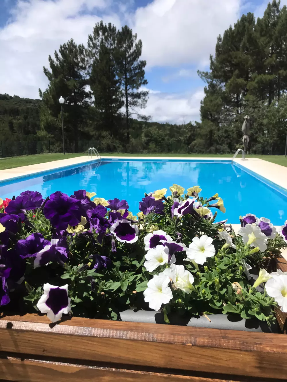 Cepo Verde 5 Sterren★★★★★