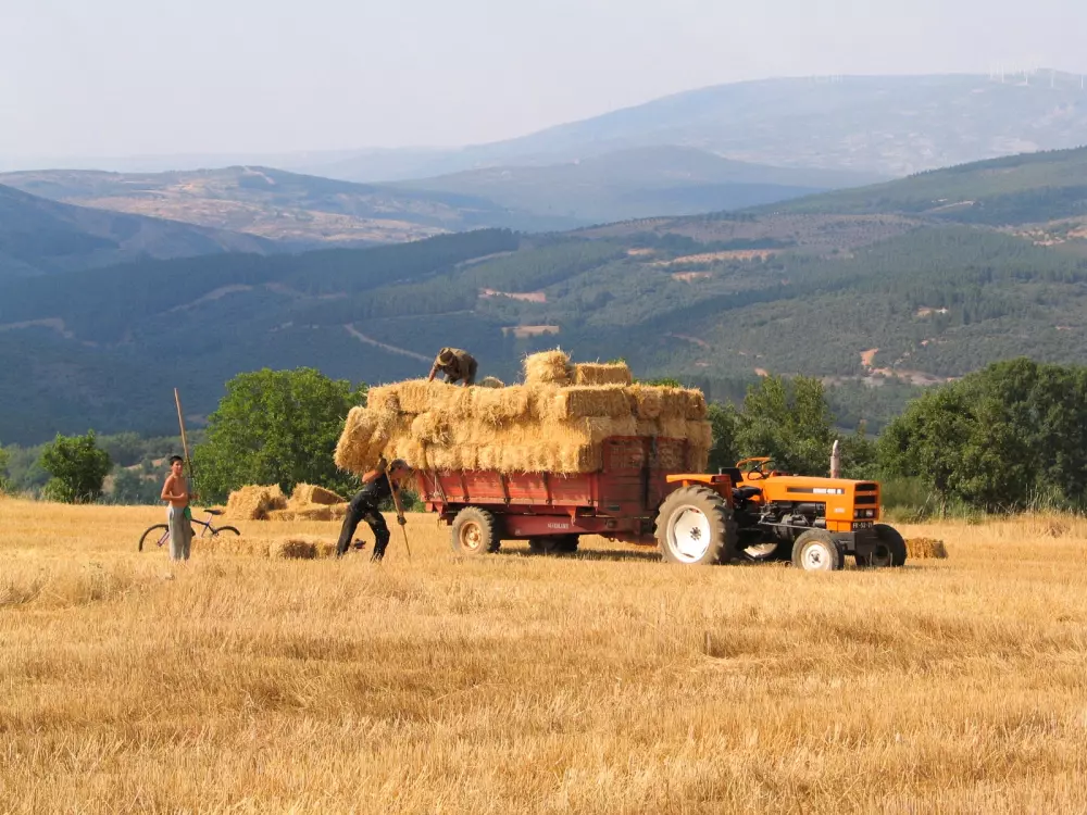 Cepo Verde 5 Sterren★★★★★