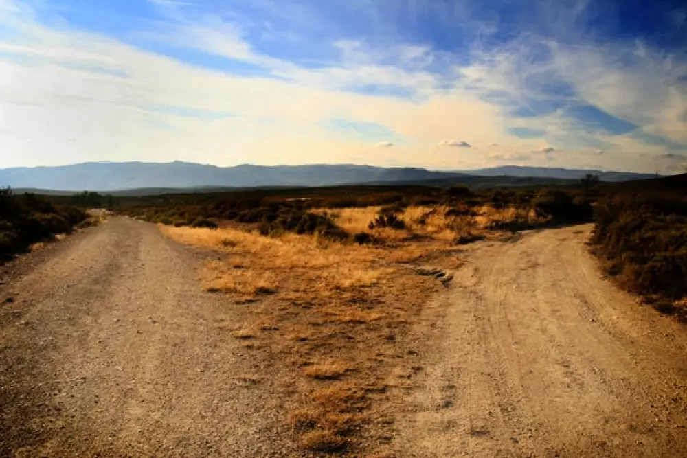 Cepo Verde 5 Sterren★★★★★