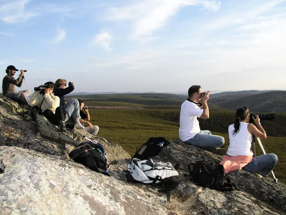 Cepo Verde 5 Sterren★★★★★