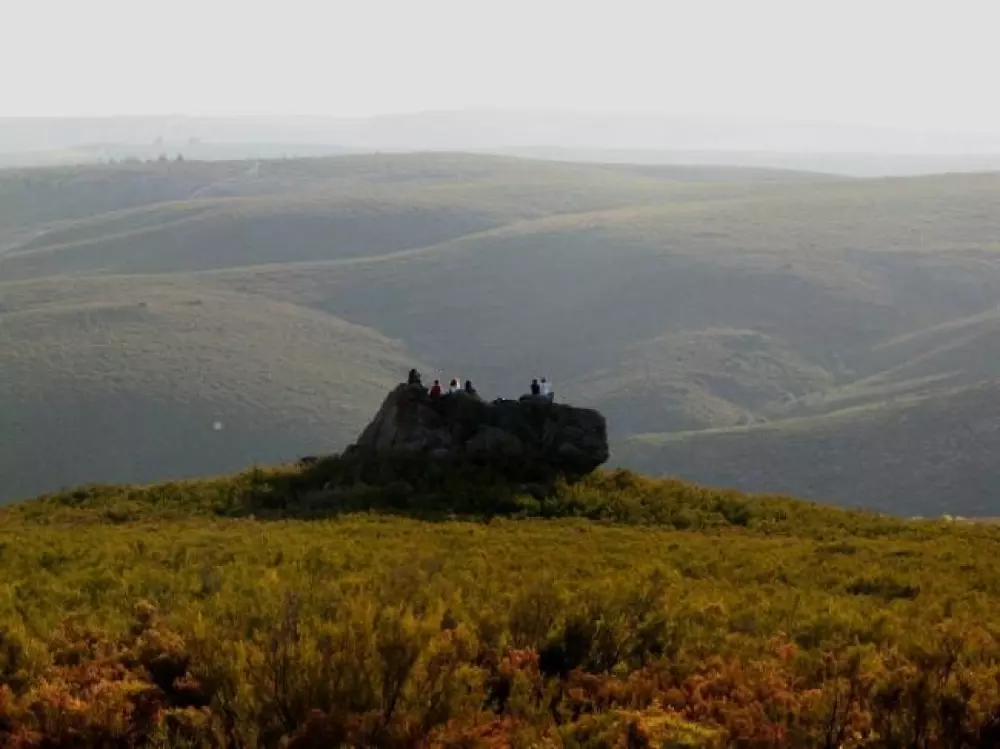 Cepo Verde 5 Sterren★★★★★