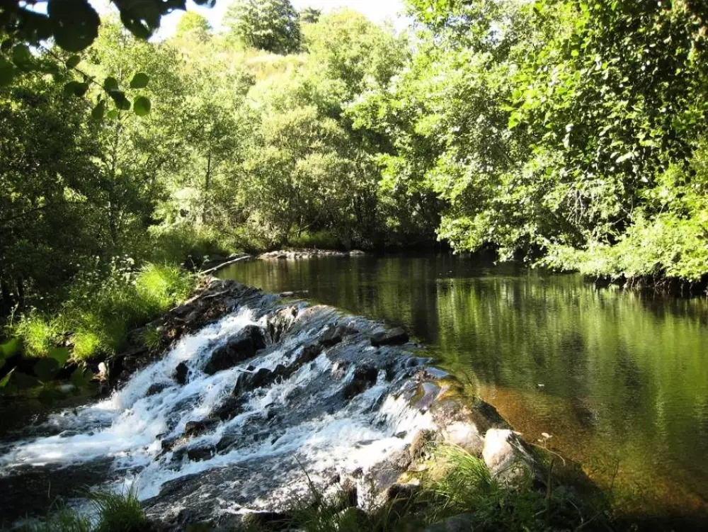 Cepo Verde 5 Sterren★★★★★