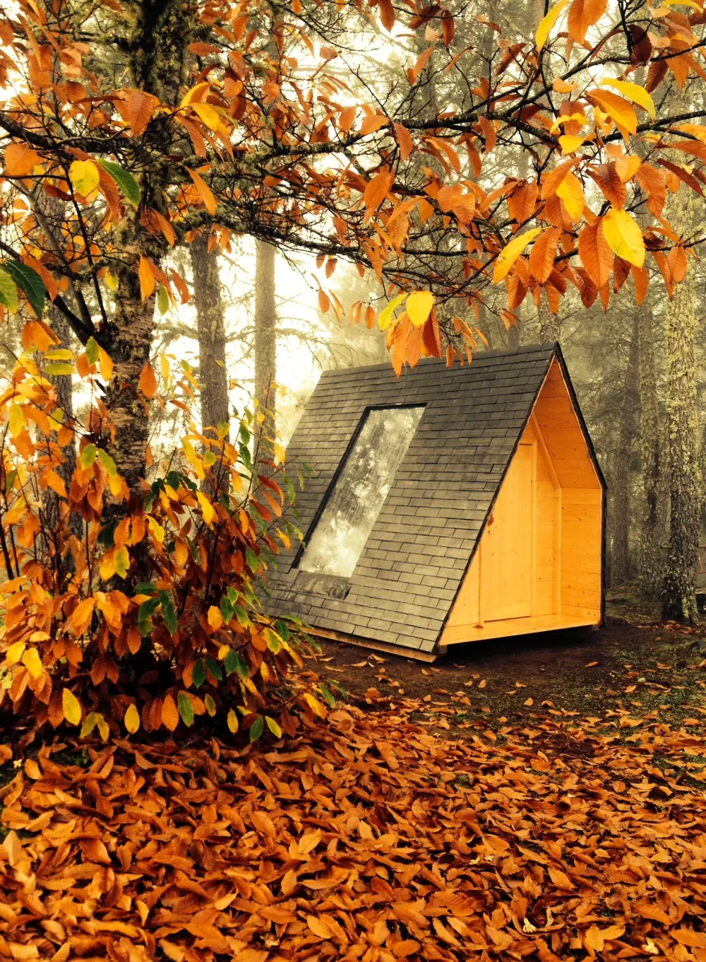 Cepo Verde 5 Sterren★★★★★