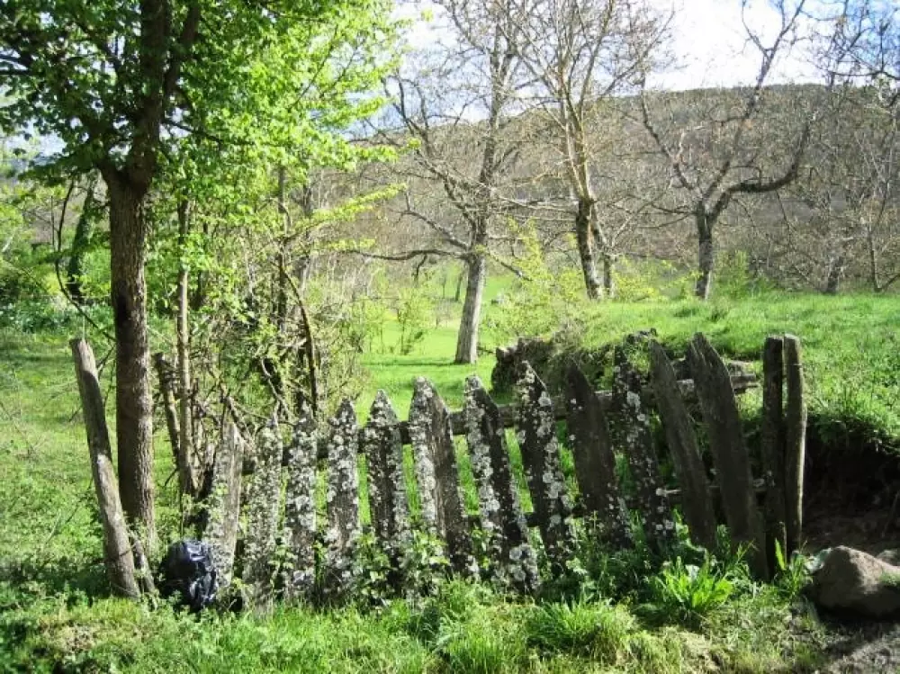 Cepo Verde 5 Sterren★★★★★