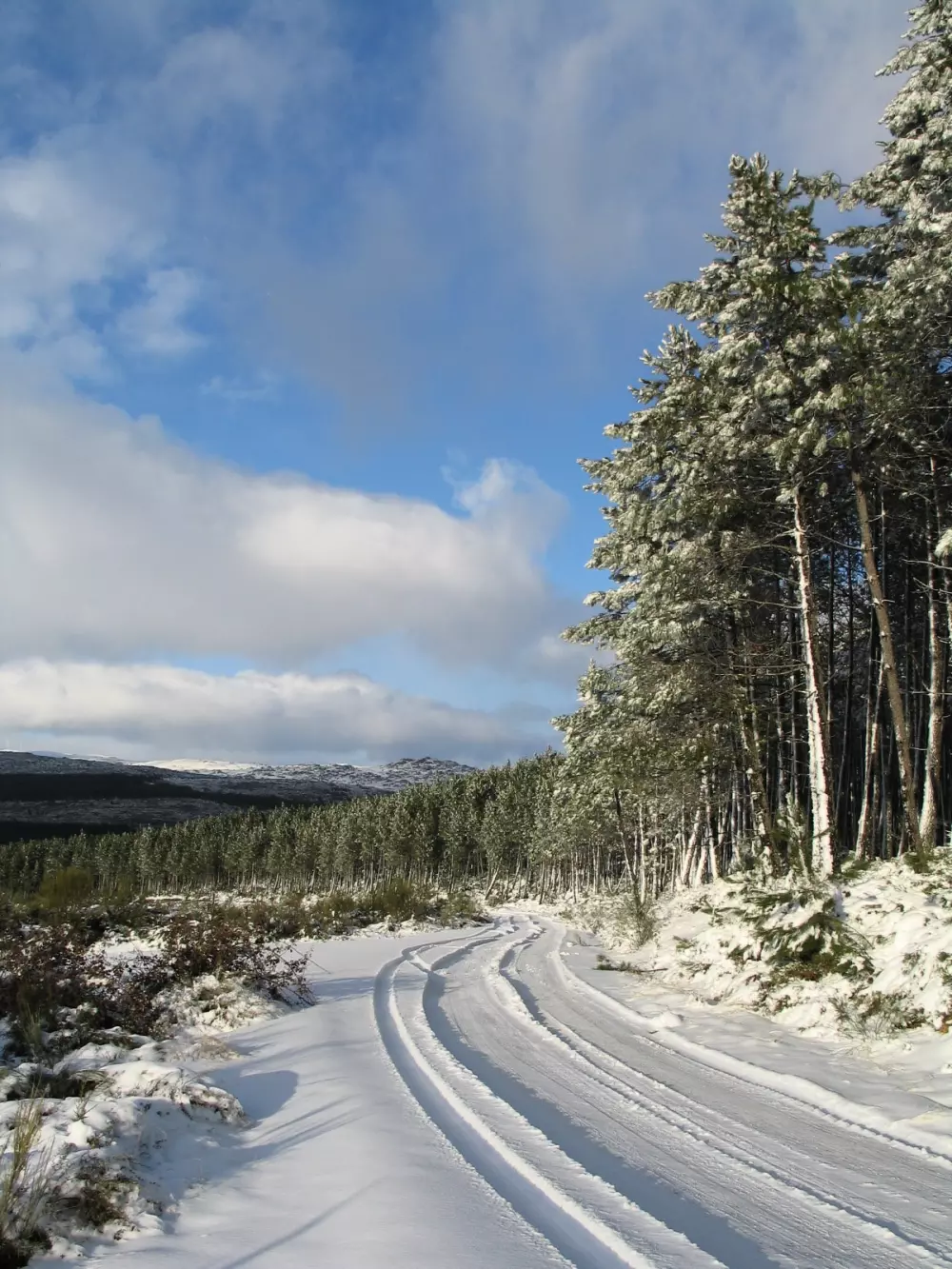 Cepo Verde 5 Sterren★★★★★