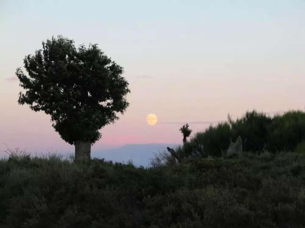 Cepo Verde 5 Sterren★★★★★