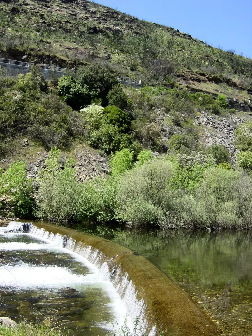 Cepo Verde 5 Sterren★★★★★