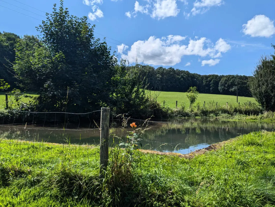 Gîte de France Grüne Eiche