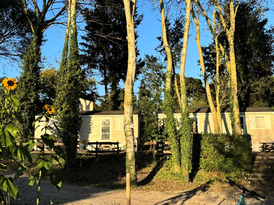 Flower Camping de la Trye 2 Stjerner★★