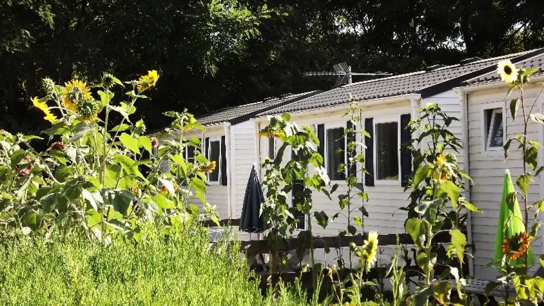 Flower Camping de la Trye 2 Stjerner★★