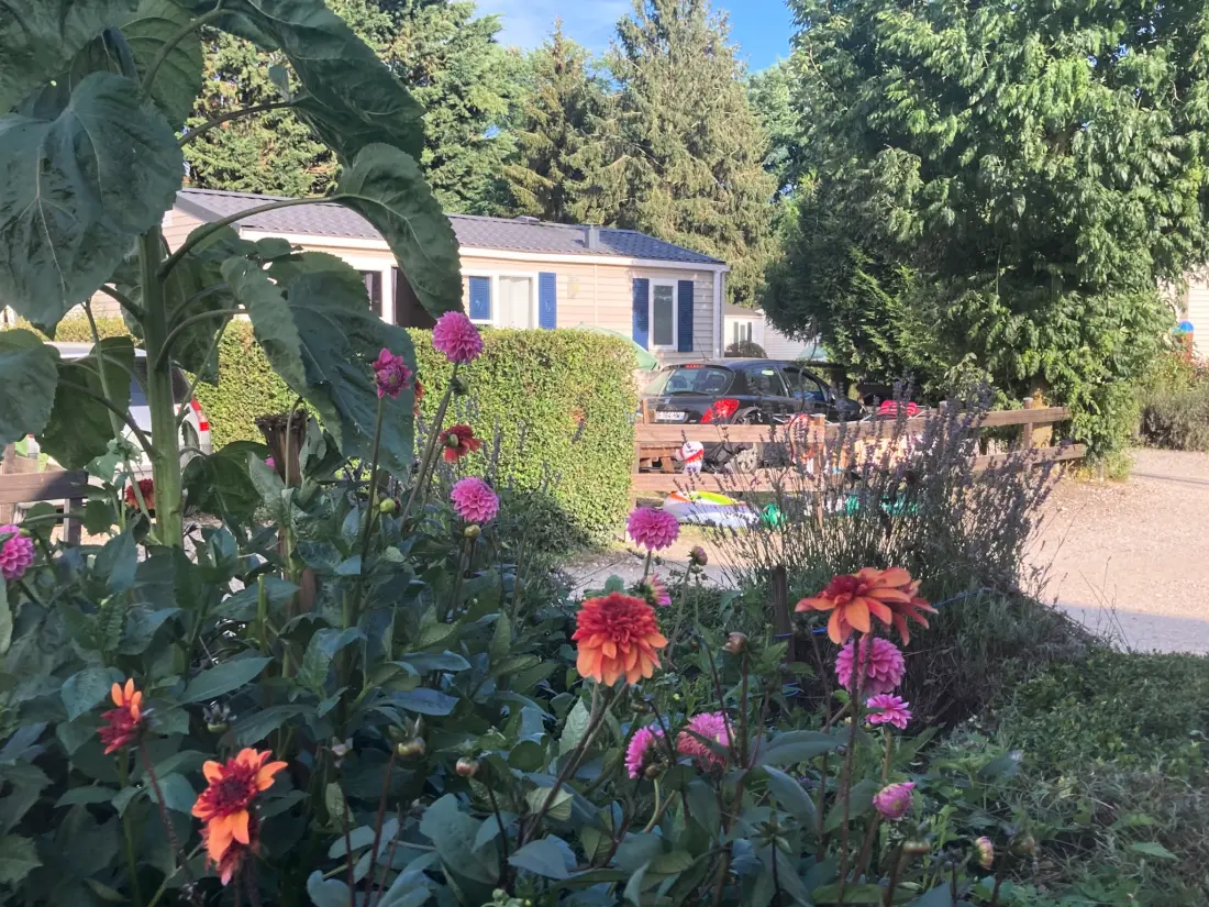 Flower Camping de la Trye 2 Stjerner★★