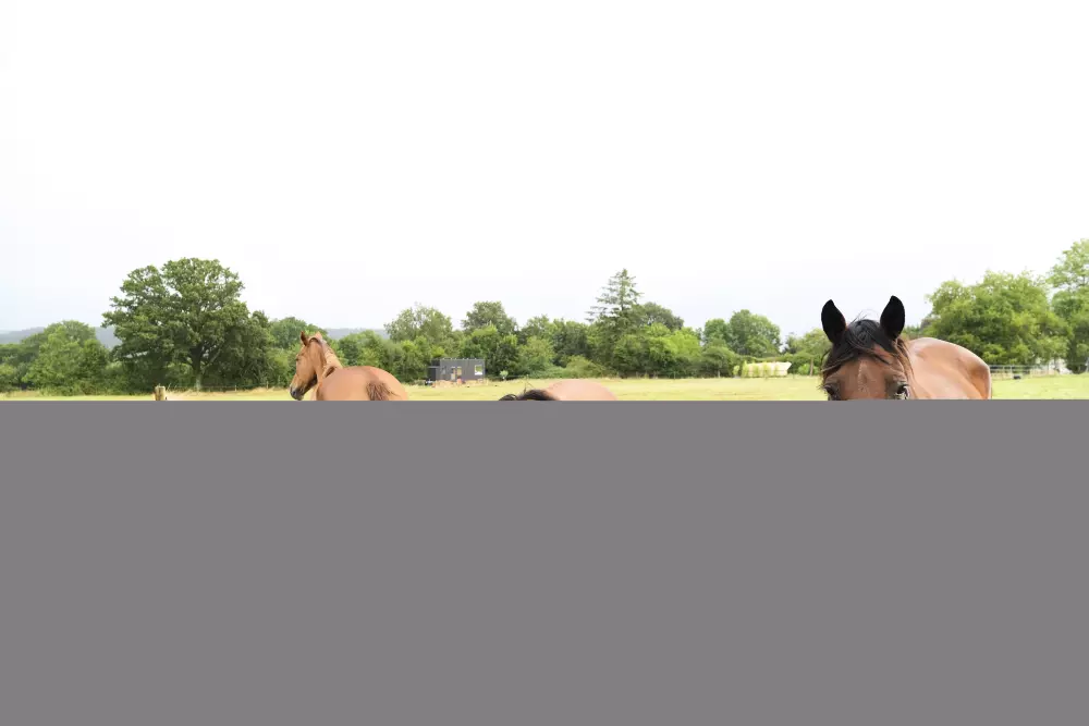 Mainteloup - Parcel Tiny House