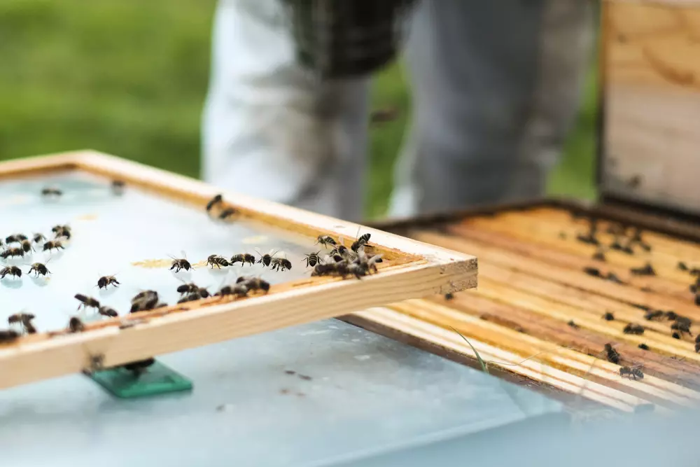 Mainteloup - Parcel Tiny House