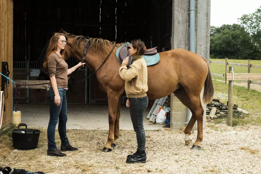 Mainteloup - Parcel Tiny House
