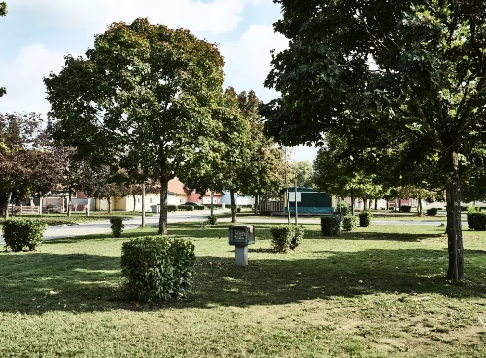 Campeggio Terme Catez E' una cosa che non va.