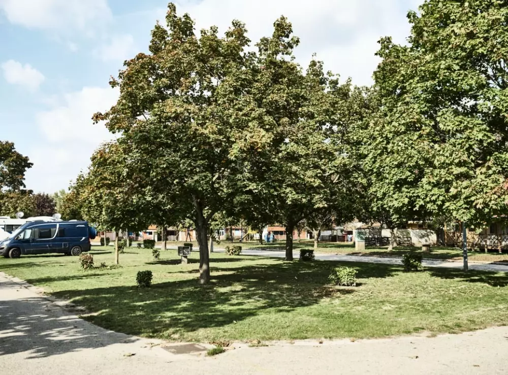 Campeggio Terme Catez E' una cosa che non va.