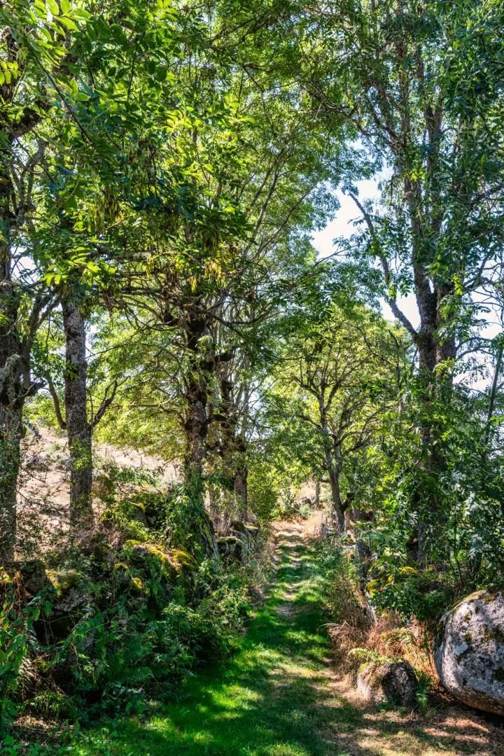Gîte de France Gîte les Bottlers 6/8 Personen 3 Ähren