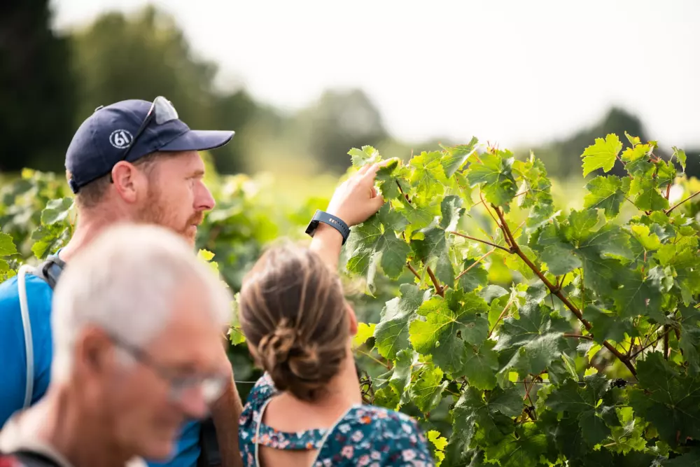 Camping de l'Etang4 Sterren★★★★