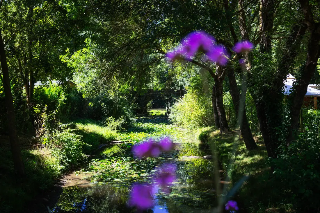Camping de l 'Etang Sites and Landscape 4 Gwiazdy★★★★ 4 Gwiazdy★★★★ 4 Gwiazdy★★★★ 4 Gwiazdy★★★★