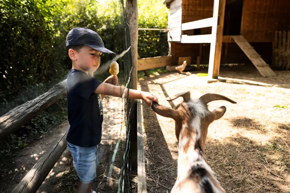 Camping de l'Etang4 Sterren★★★★