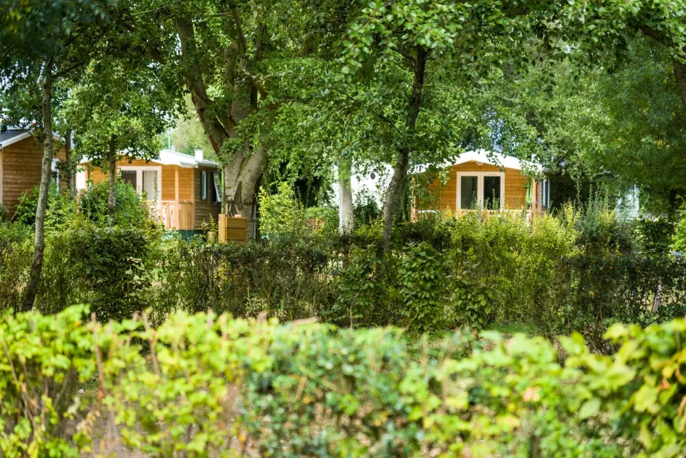 Camping de l'Etang4 Sterren★★★★