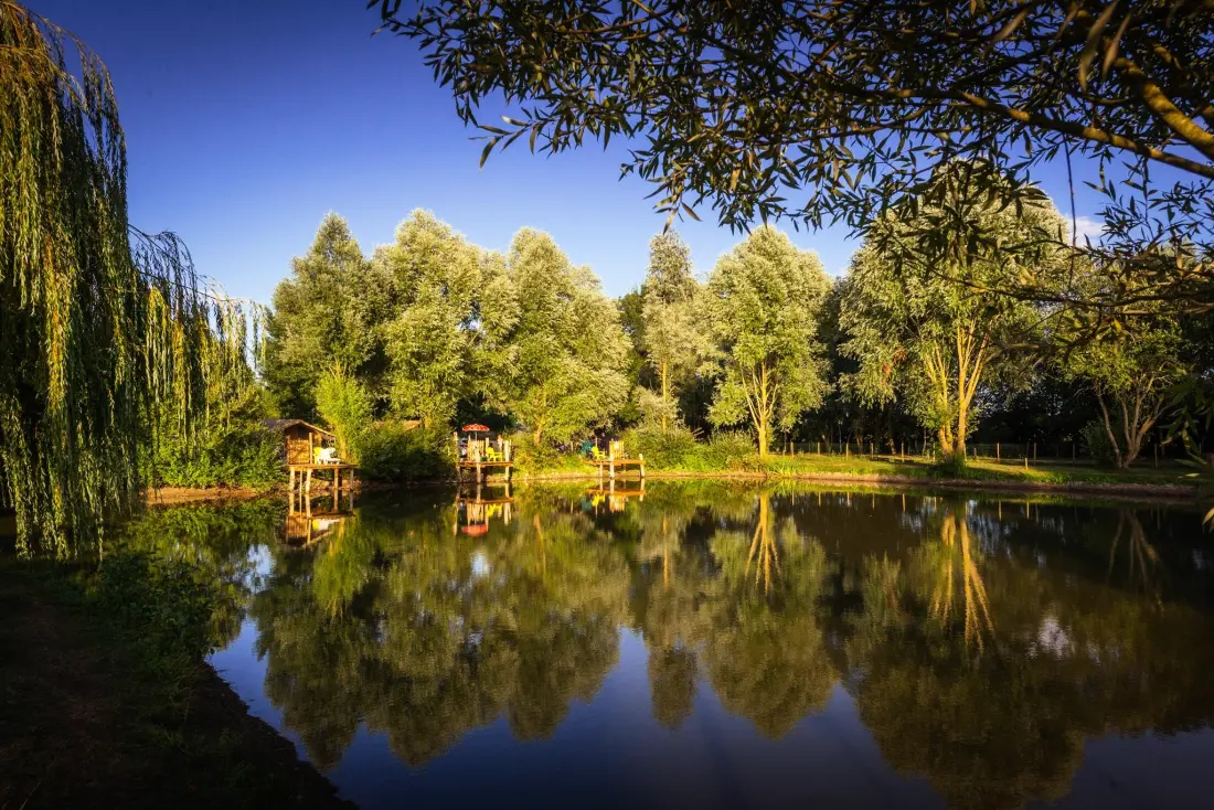 Camping de l 'Etang Sites and Landscape 4 Gwiazdy★★★★ 4 Gwiazdy★★★★ 4 Gwiazdy★★★★ 4 Gwiazdy★★★★