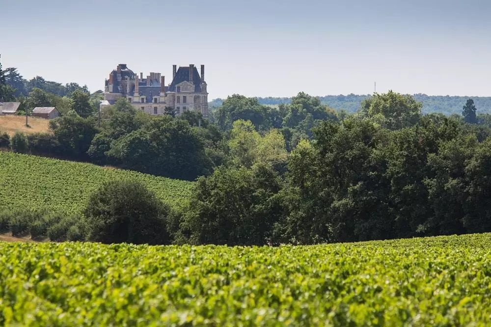 Camping de l'Etang4 Sterren★★★★