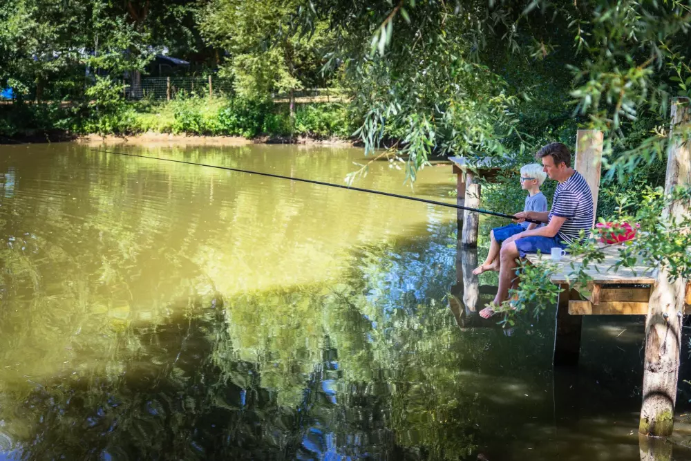 Camping de l'Etang4 Sterren★★★★