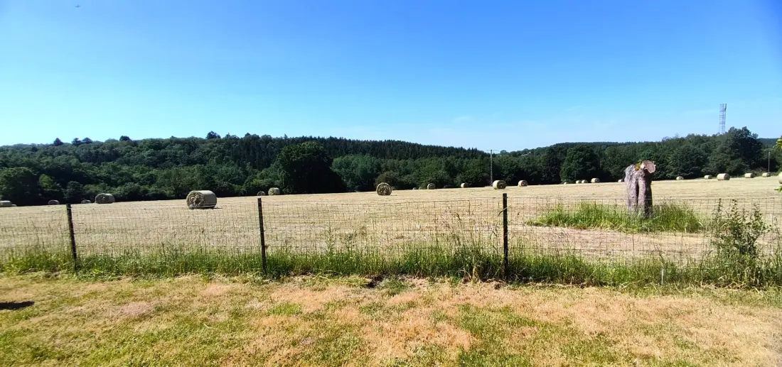 Gîte de France Le Caprice 3 Ähren