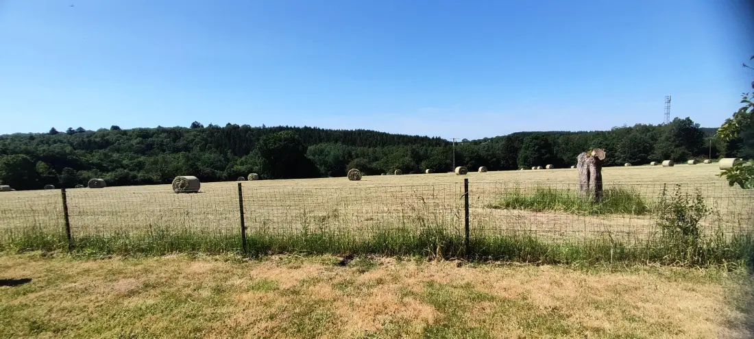 Gîte de France Le Caprice 3 Ähren