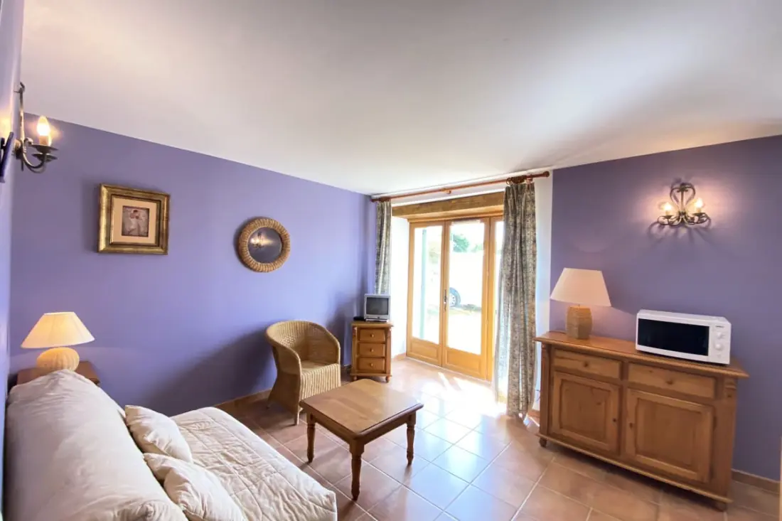 04b6 : Beautiful Studio in a Provençal Mas - Swimming pool