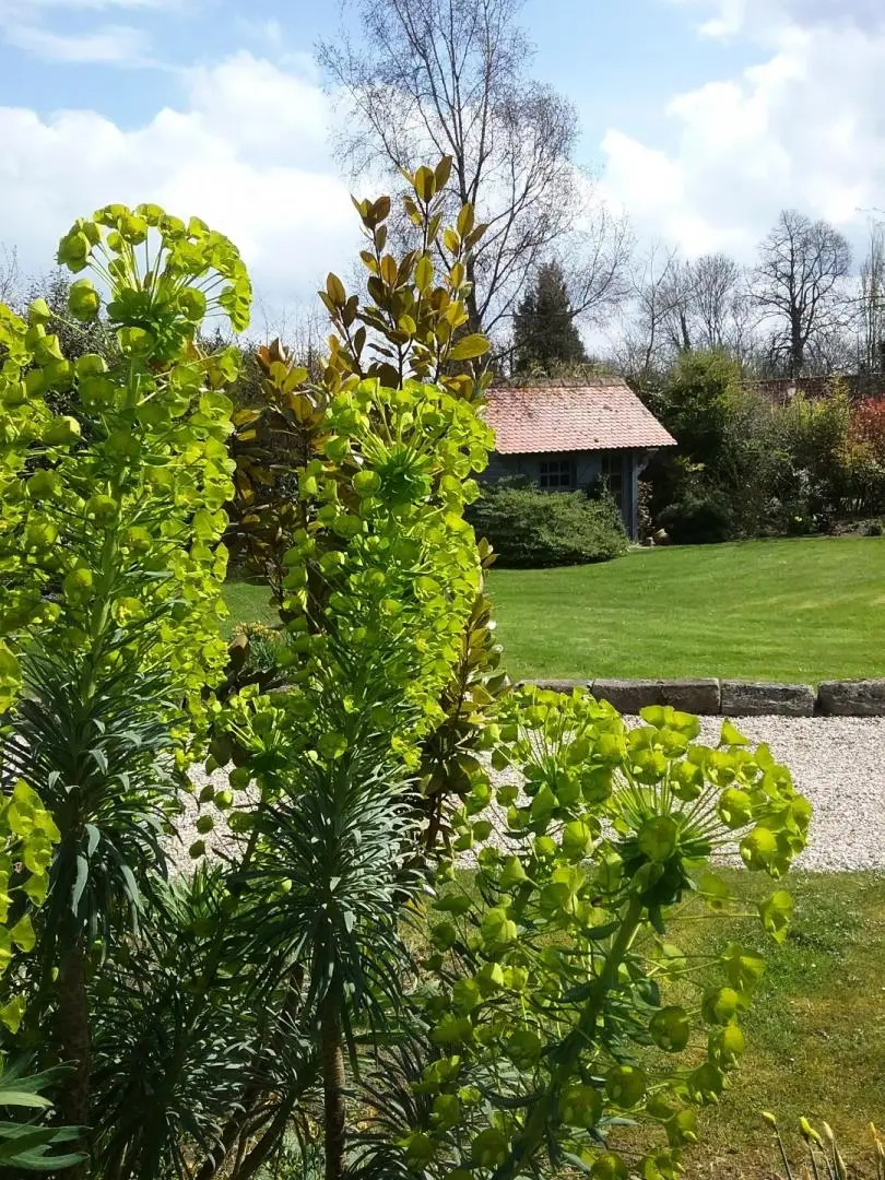 Gîte de France Gîtes de france® - a kis tengerész 3 fül