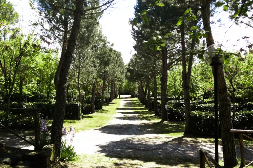 Camping La Chiocciola