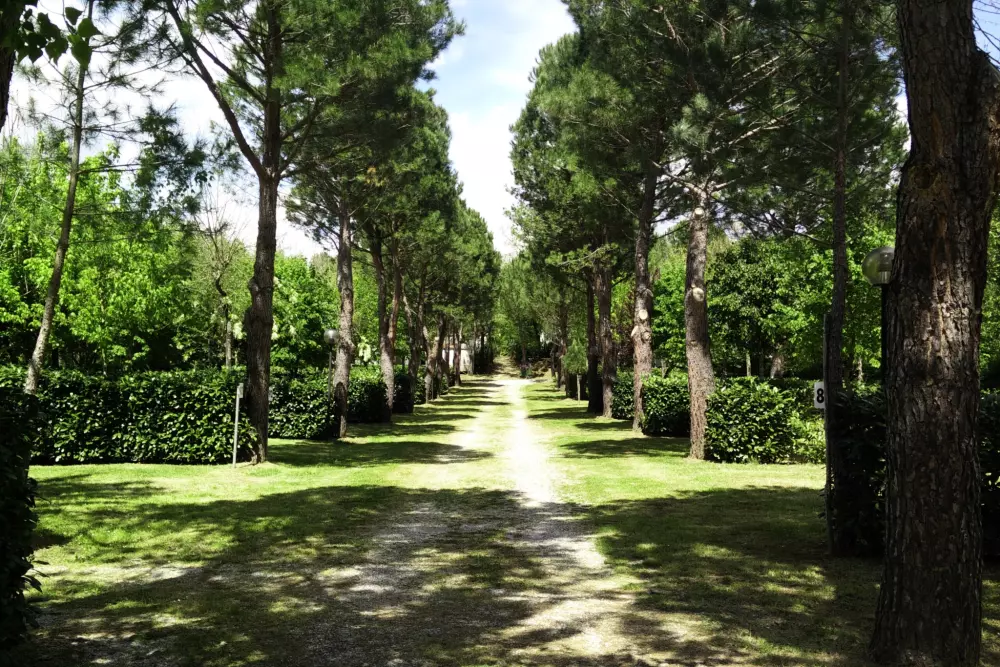 Camping La Chiocciola