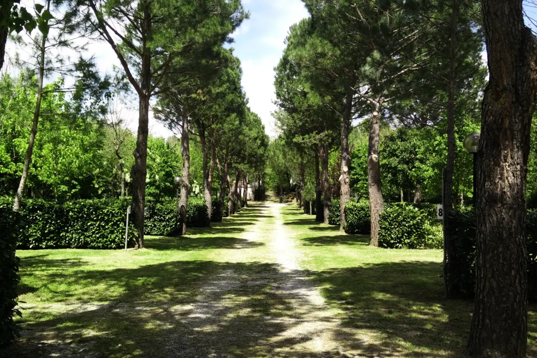 Campsite La Chiocciola