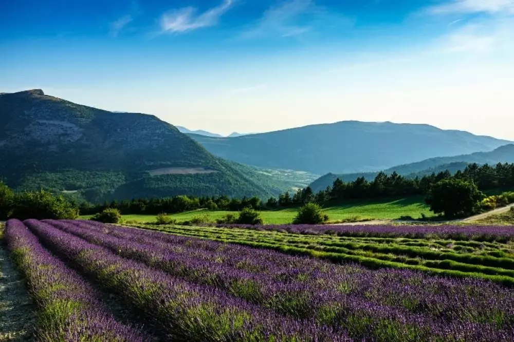 Hannibal's Fountain 3 Stars★★★