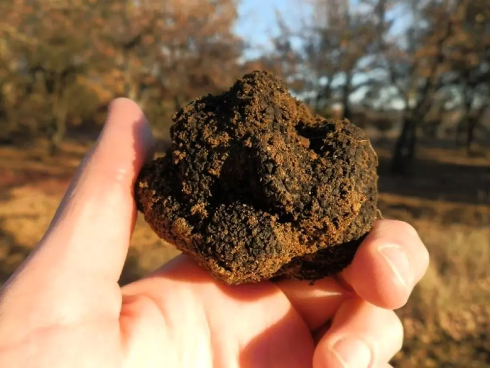 Hannibal's Fountain 3 Stars★★★