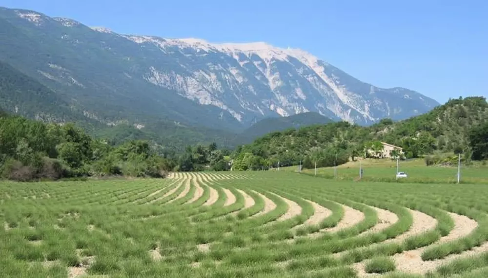 Hannibal's Fountain 3 Stars★★★