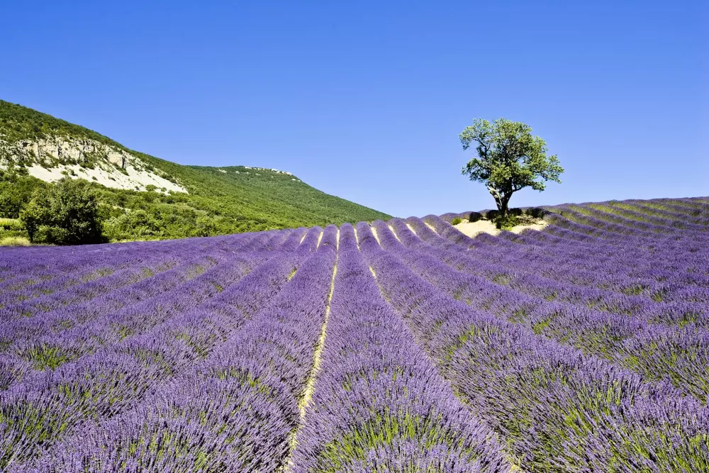 Hannibal's Fountain 3 Stars★★★