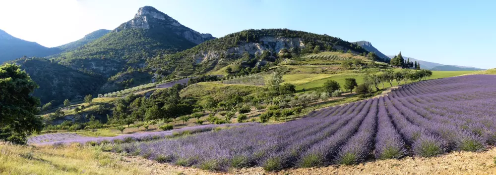 Hannibal's Fountain 3 Stars★★★