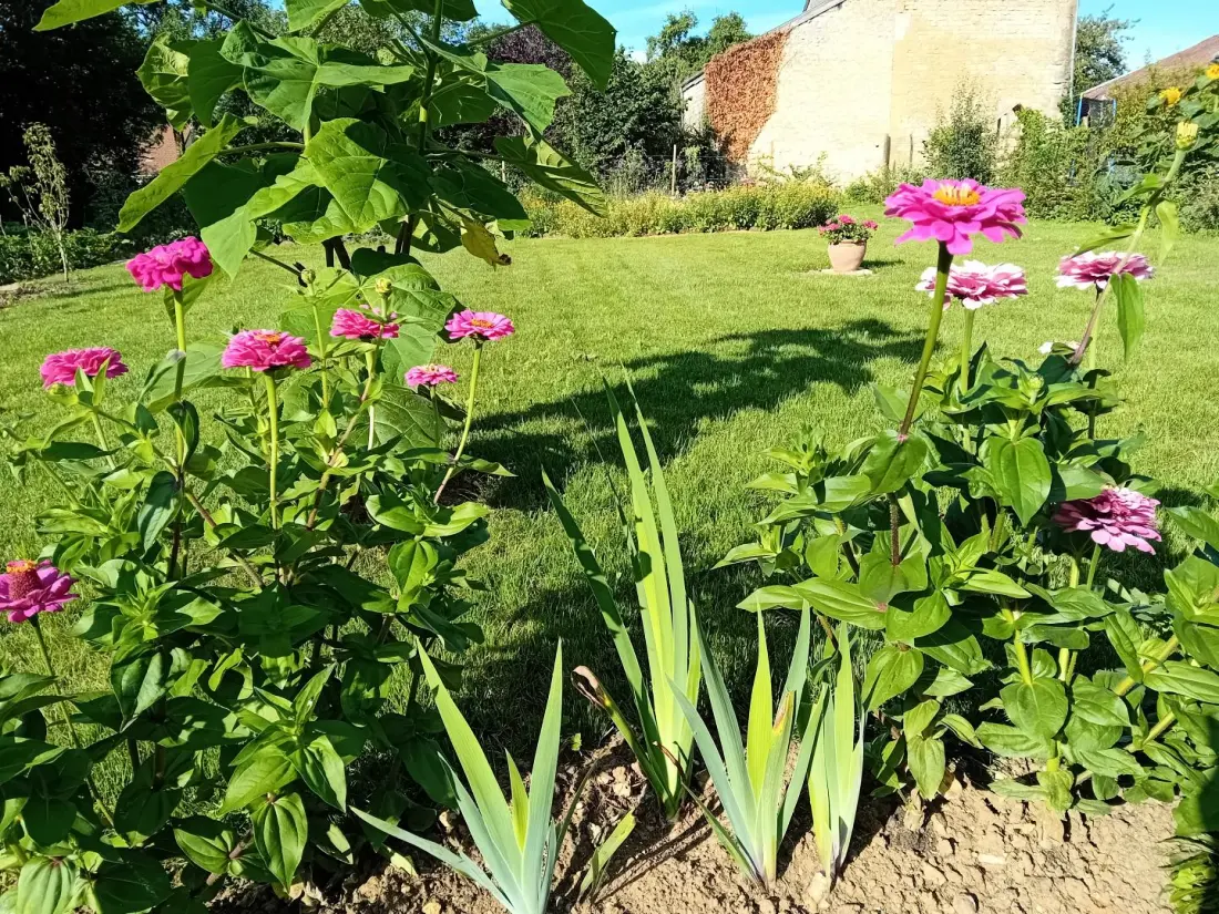 Gîte de France Gerstenkorn und Hartriegel 3 Ähren