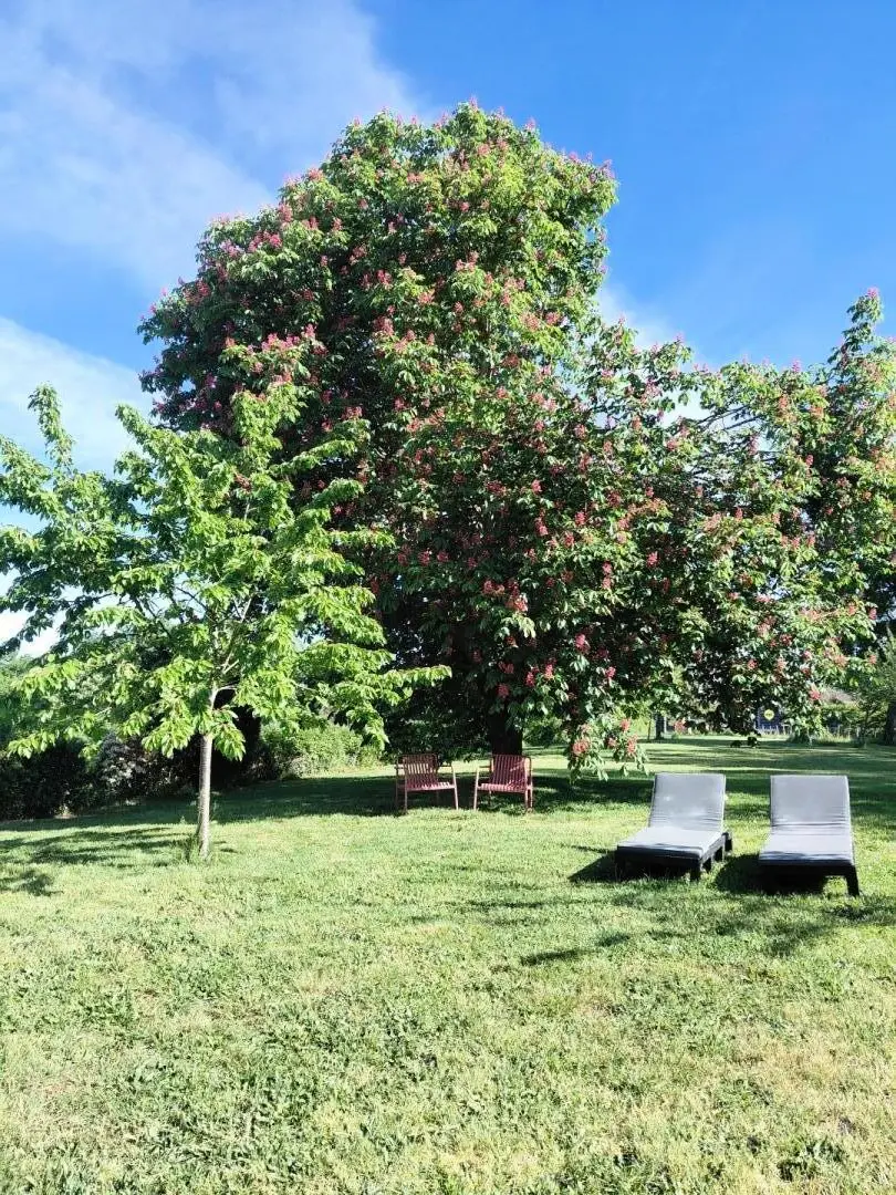 Gîte de France Het huis van Eugénie 3 oren