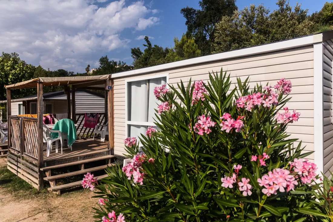 Camping Green Park