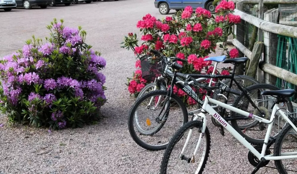 Camping L'Escapade 5 Sterren★★★★★