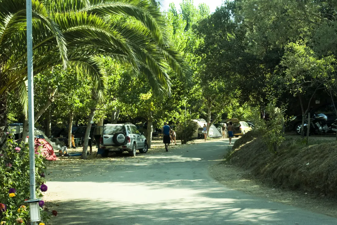 Campingplatz la Liscia3 Sterne★★★