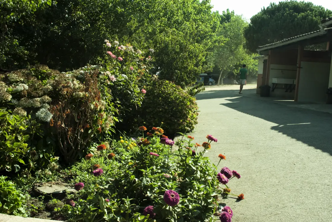 Campingplatz la Liscia3 Sterne★★★