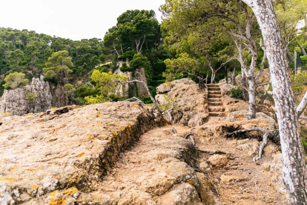 Camping Calella de Palafrugell4 Estrellas★★★★