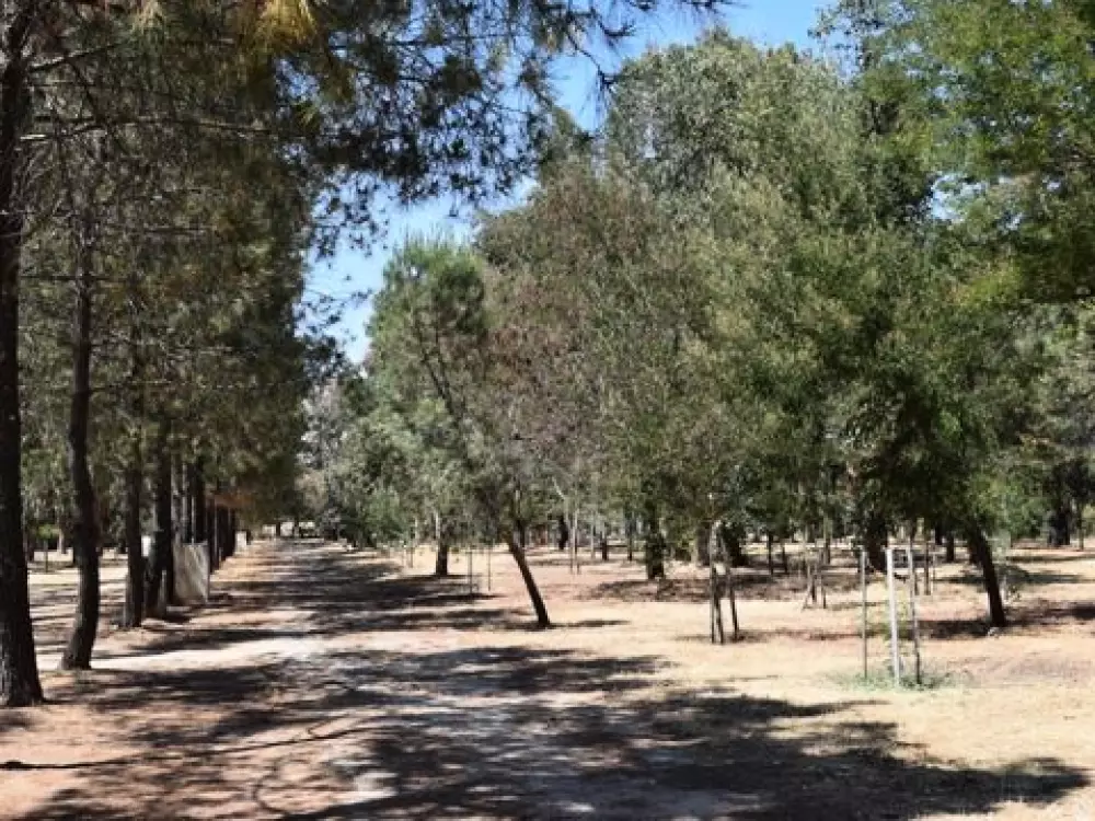 Camping Paradella 3 Stars★★★