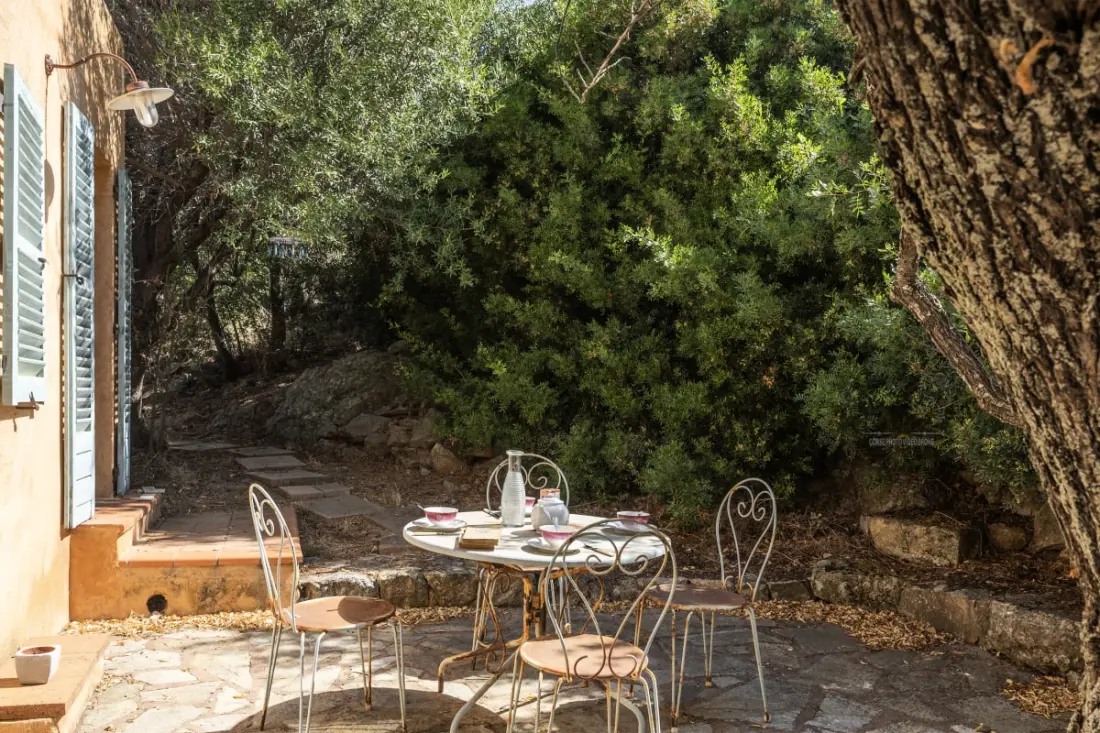Maison Camellu – Propriété De Charme Au Cœur Des Oliviers, Vue Mer